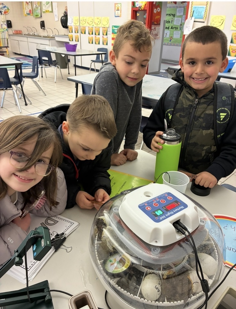 Students looking at ducks hatching in the incubator