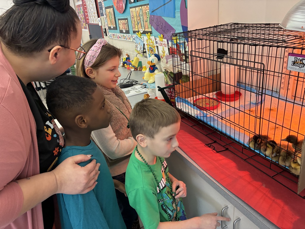 Students looking at a brooder box of ducks