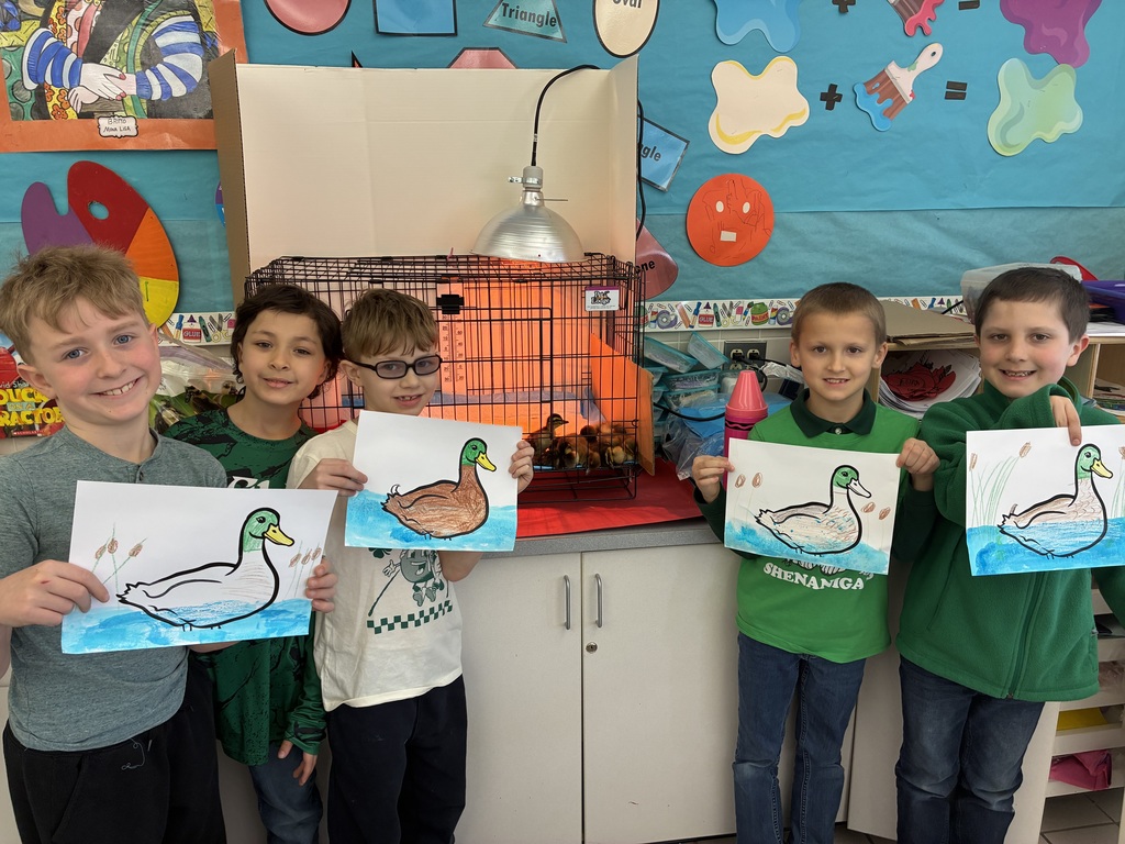 Students looking at a brooder box of ducks with art