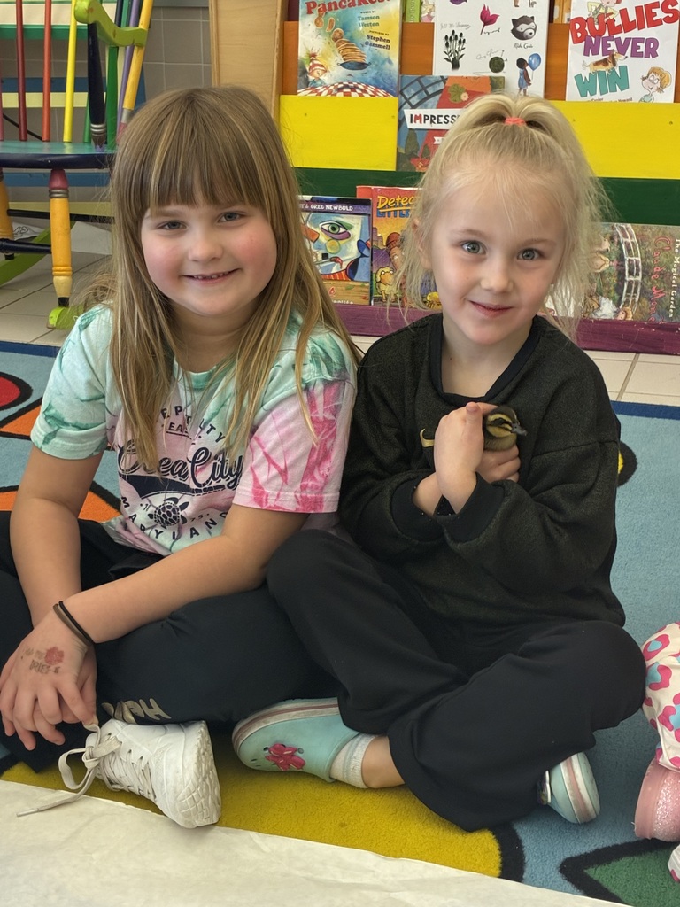 Students holding ducklings 