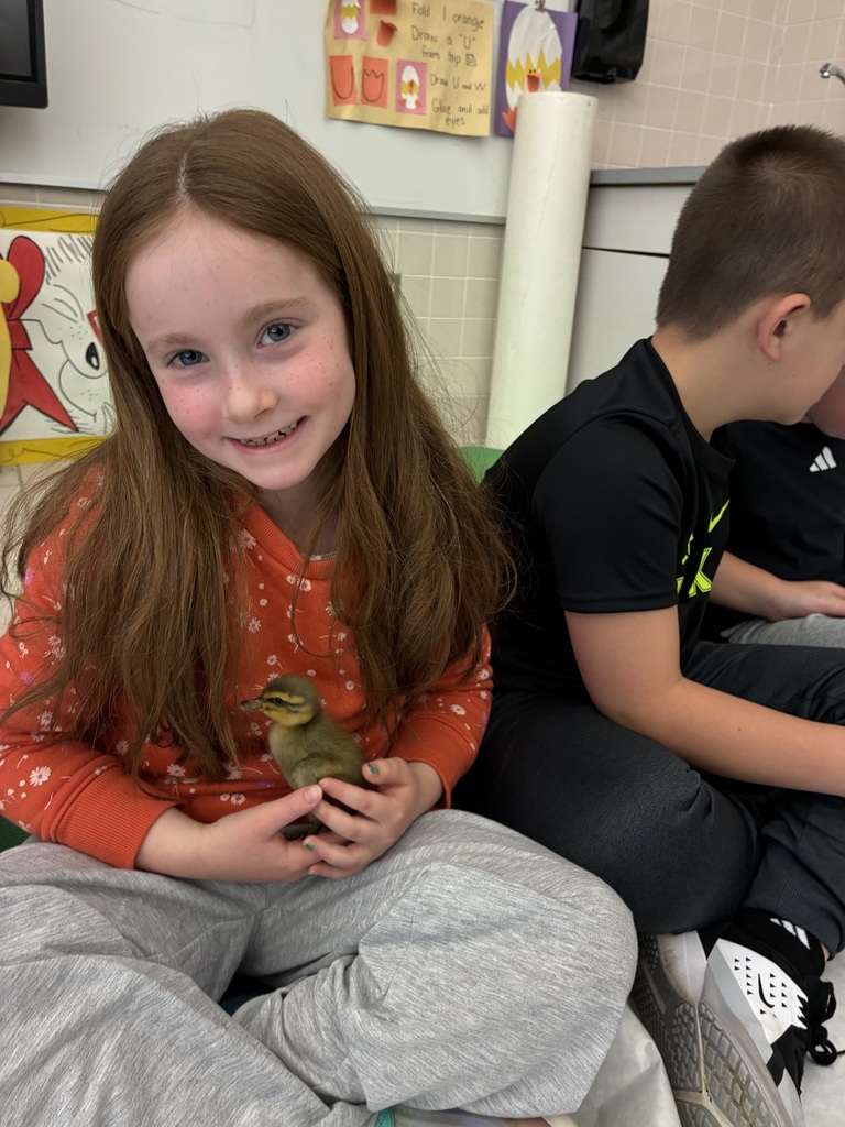 Students holding ducklings 