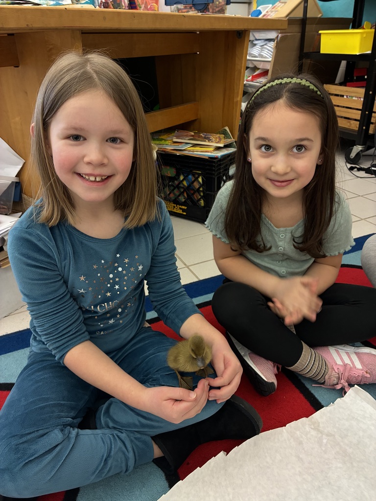 Students holding ducklings 