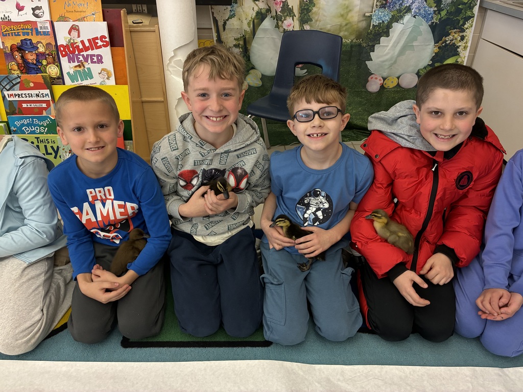 Students holding ducklings 