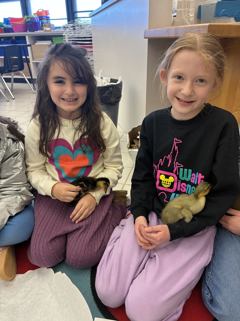 Students holding ducklings 
