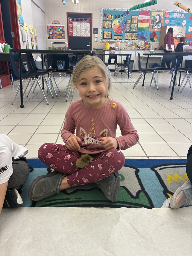 Students holding ducklings 