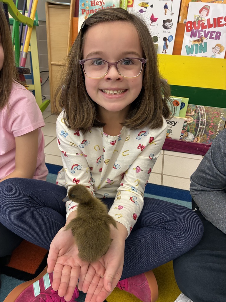 Students holding ducklings 