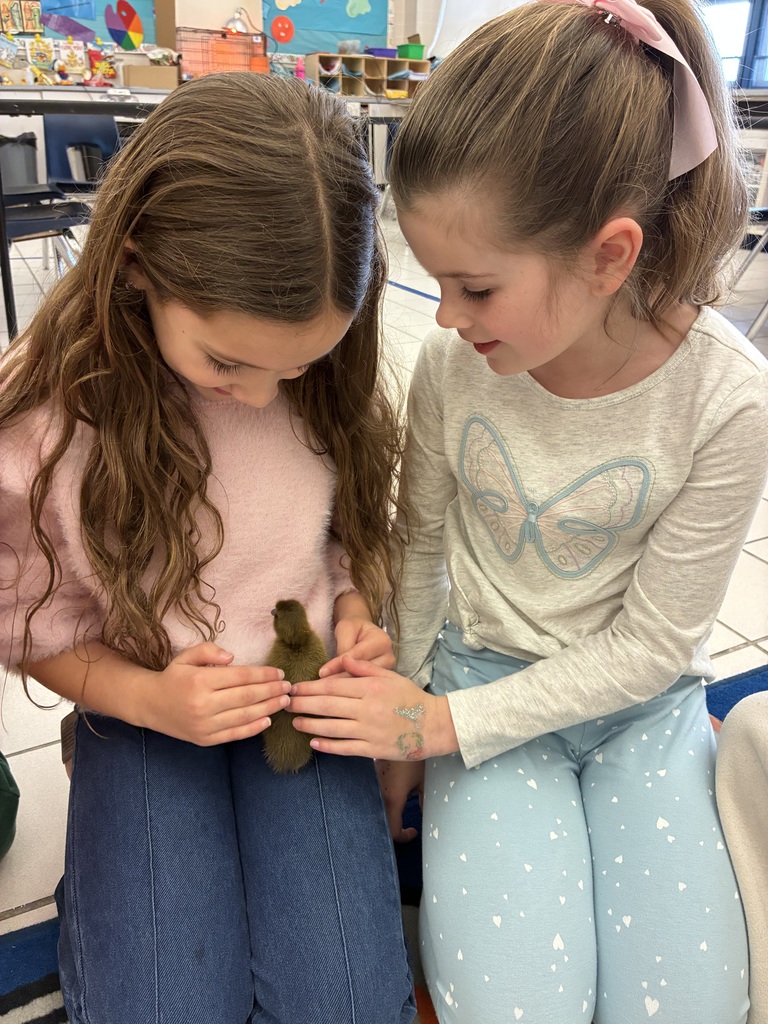 Students holding ducklings 
