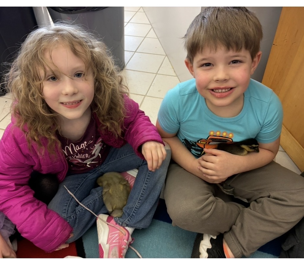 Students seated with ducks on the carpet