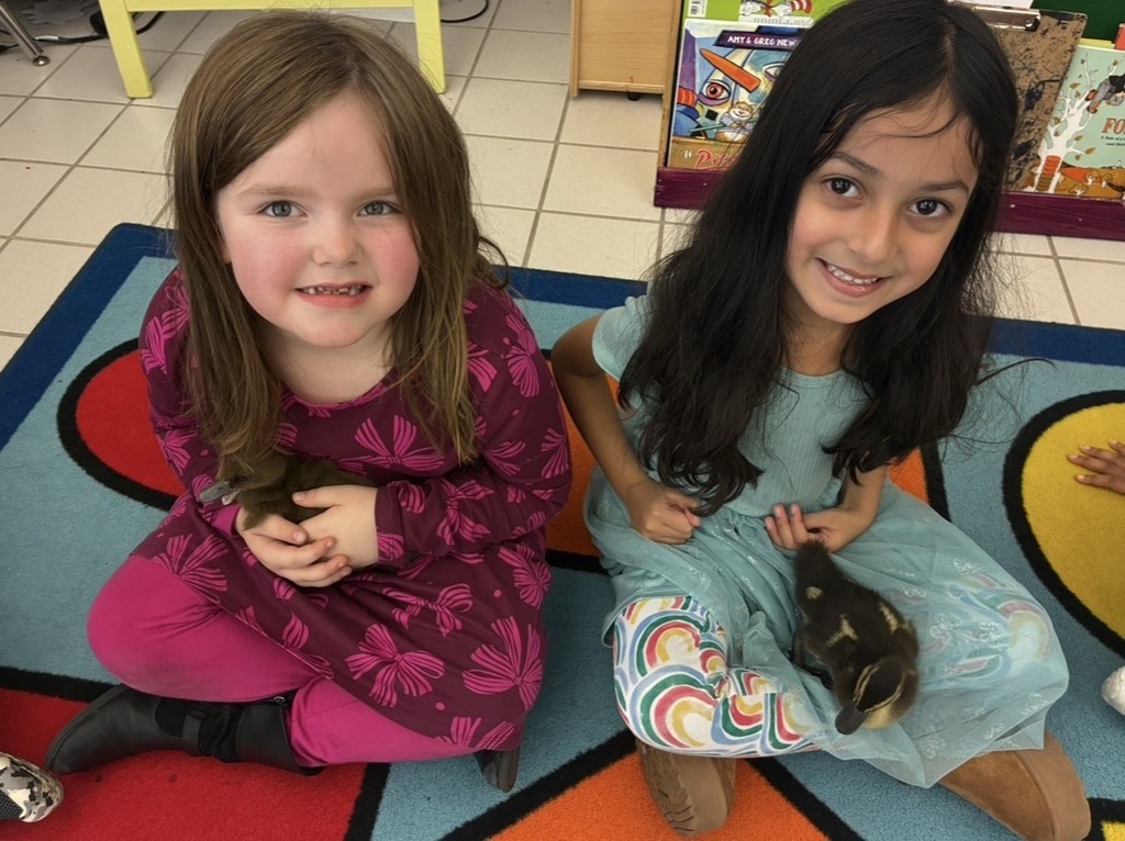 Students seated with ducks on the carpet