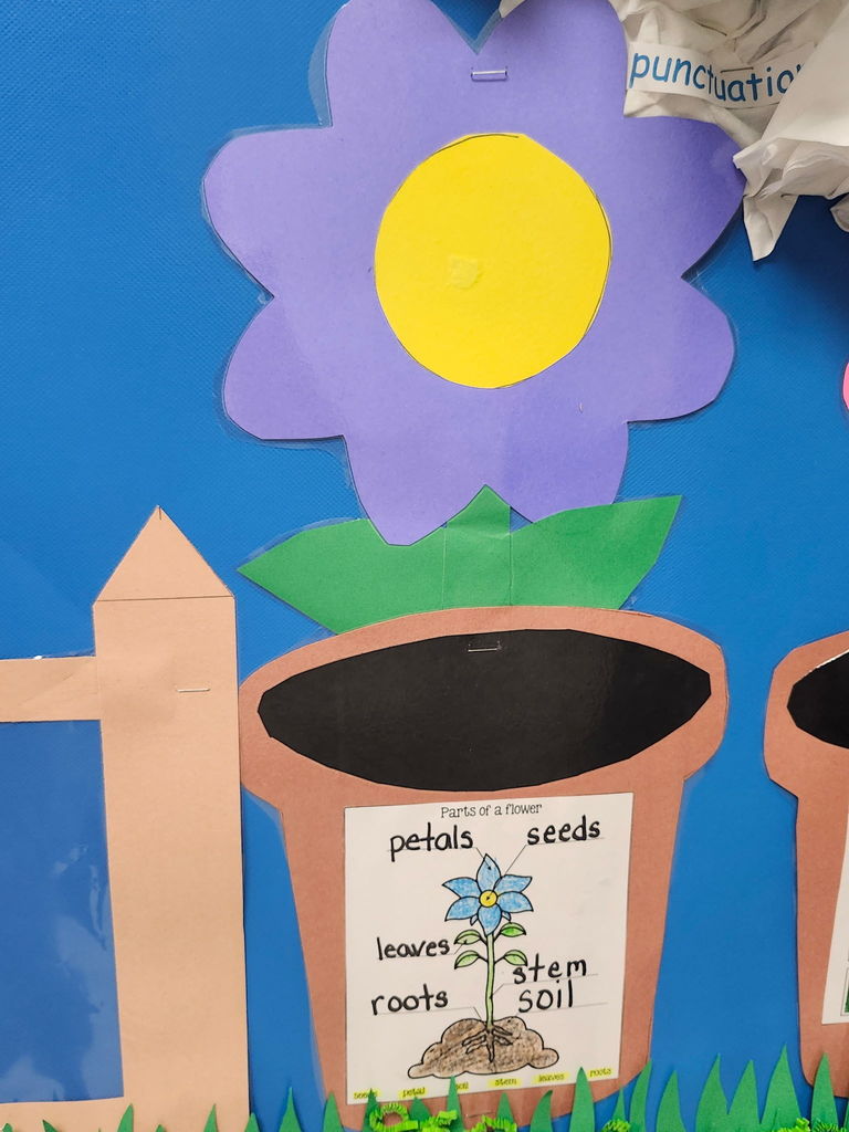 A purple flower with labeled parts 