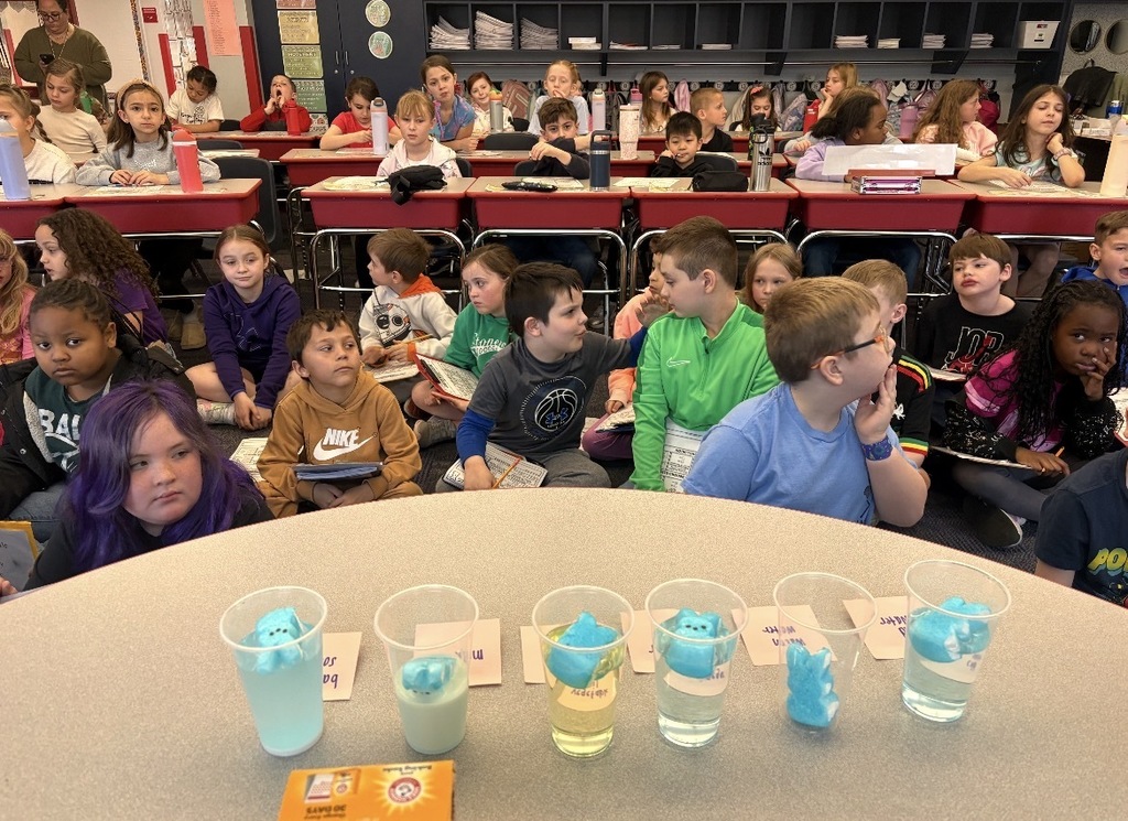 Students seated observing blue marshmallow peeps in different liquids  