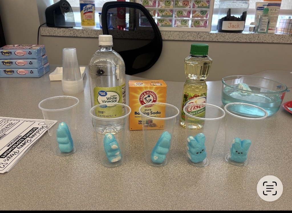 Blue marshmallow peeps in clear cups 