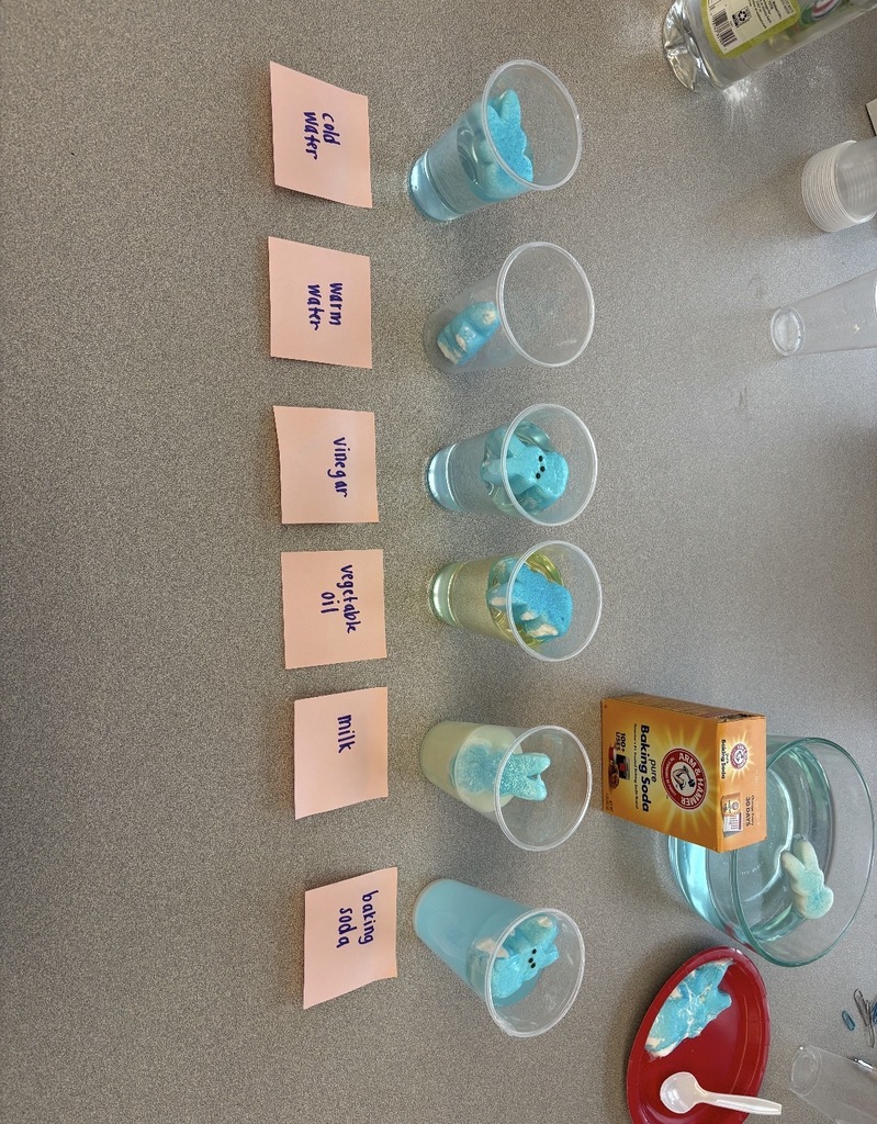 Blue marshmallow peeps in liquid  