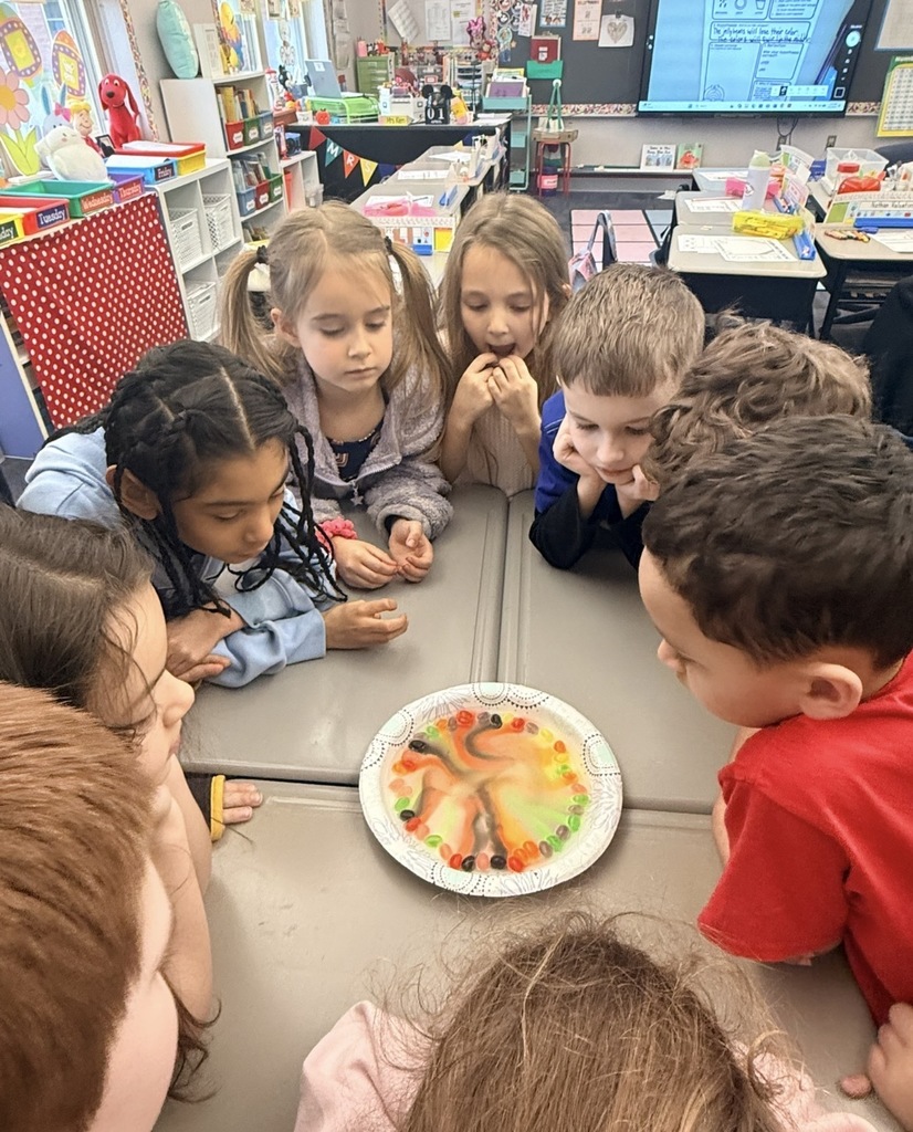 Students doing jelly bean milk experiment on a plate. 