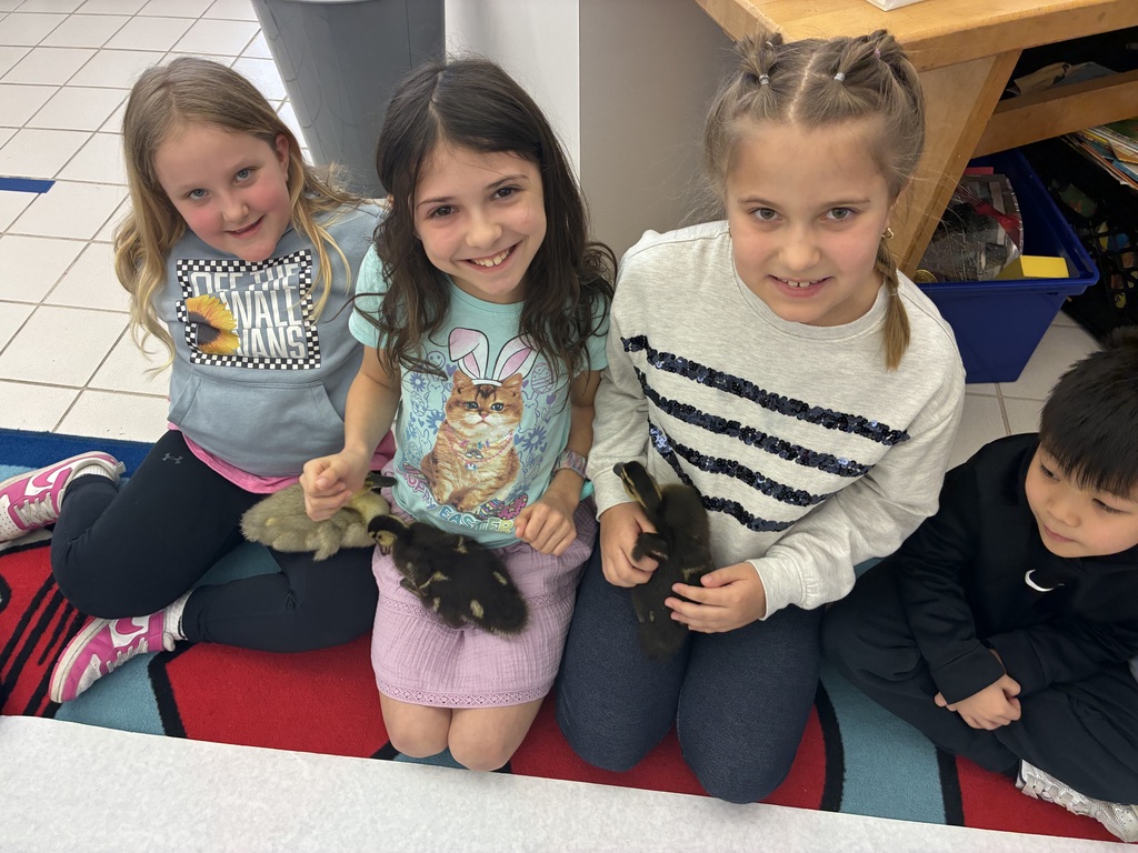 Students seated with ducks on the floor 