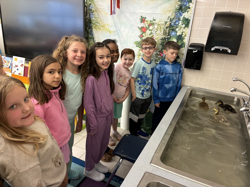 Students watching ducks in a sink. 
