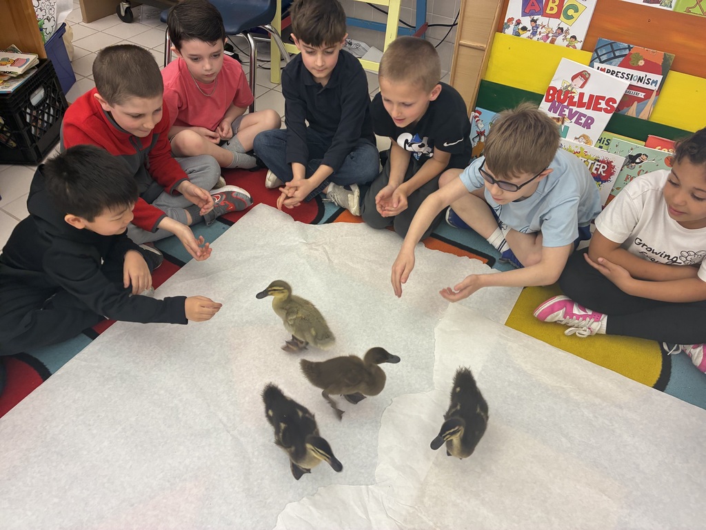 Students seated with ducks on the floor 