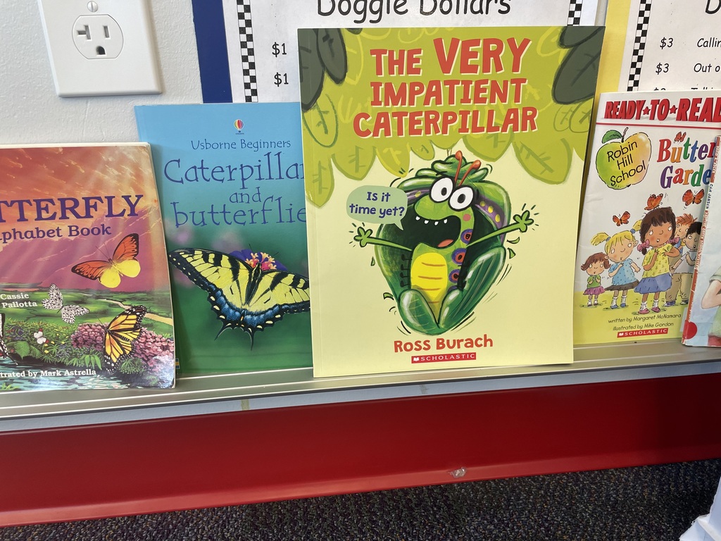 Several butterfly picture books