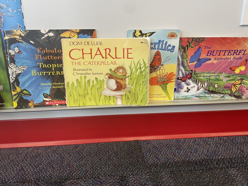 Several butterfly picture books