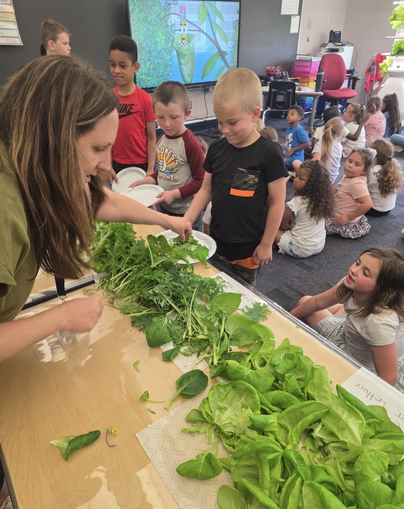 Students and teachers in the stem lab with hydroponic farm stands with lettuce and  flowers 