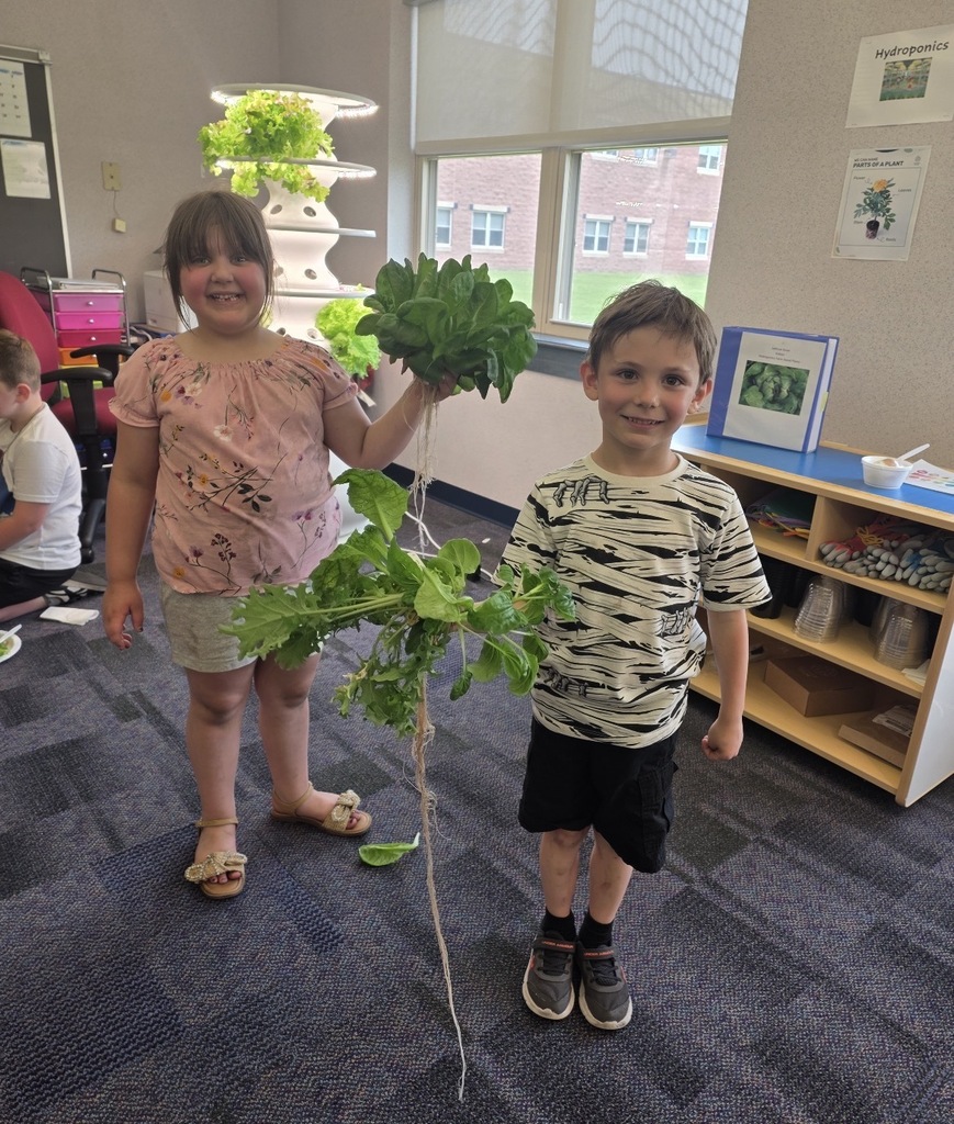 Students and teachers in the stem lab with hydroponic farm stands with lettuce and  flowers 