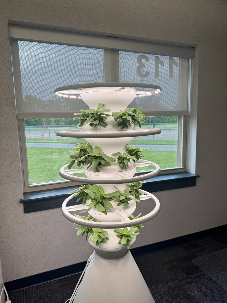 Hydroponic farm stand with zinnias 