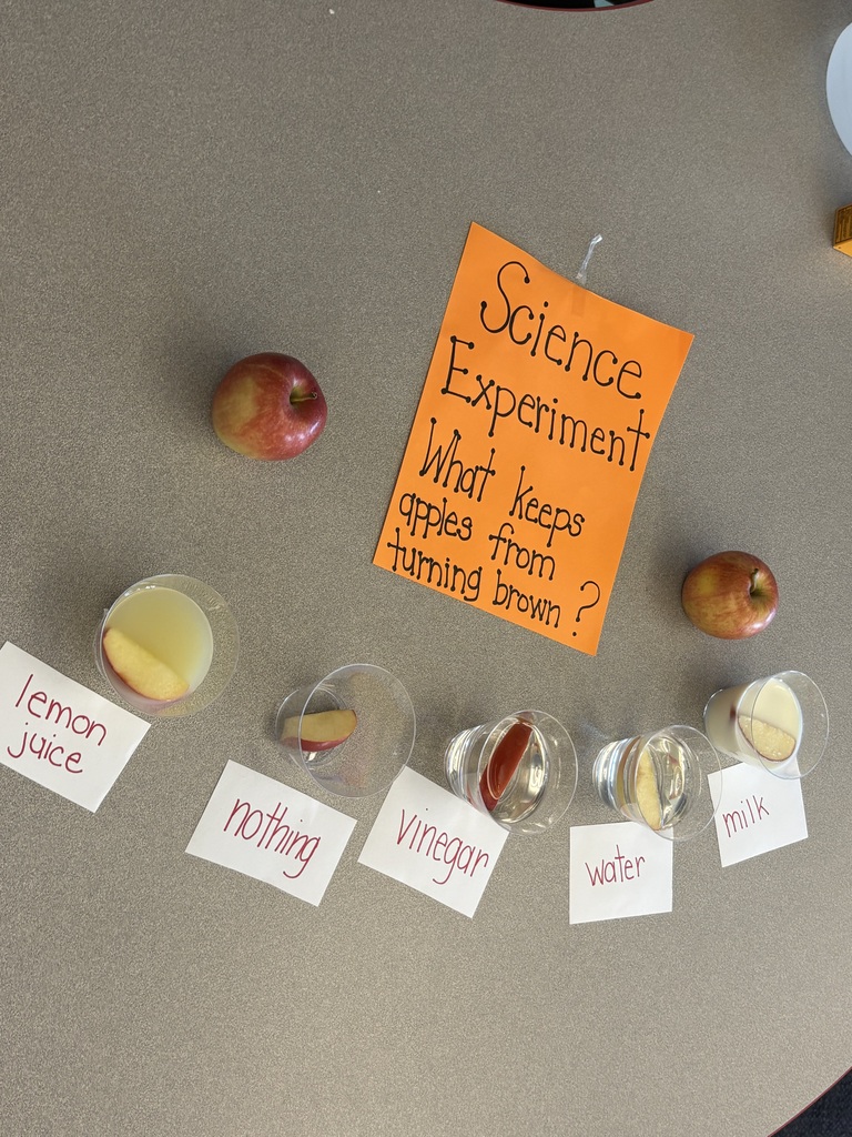 Kids doing apple activities