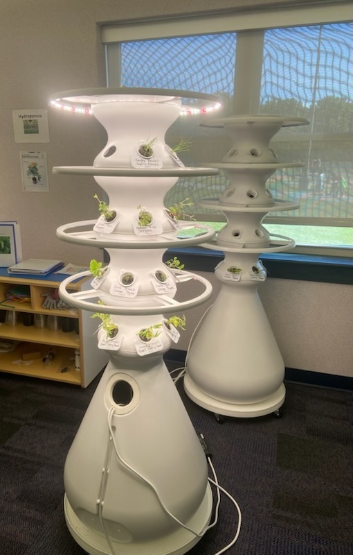 Students planting sprouts in hydroponic plant stands