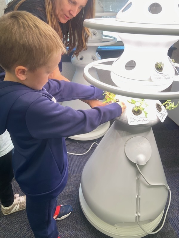 Students planting sprouts in hydroponic plant stands