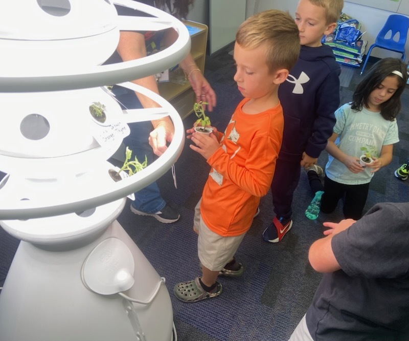 Students planting sprouts in hydroponic plant stands