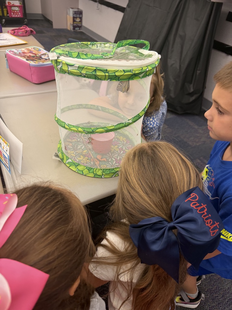 Mrs. Antal’s class butterfly study with butterfly release.