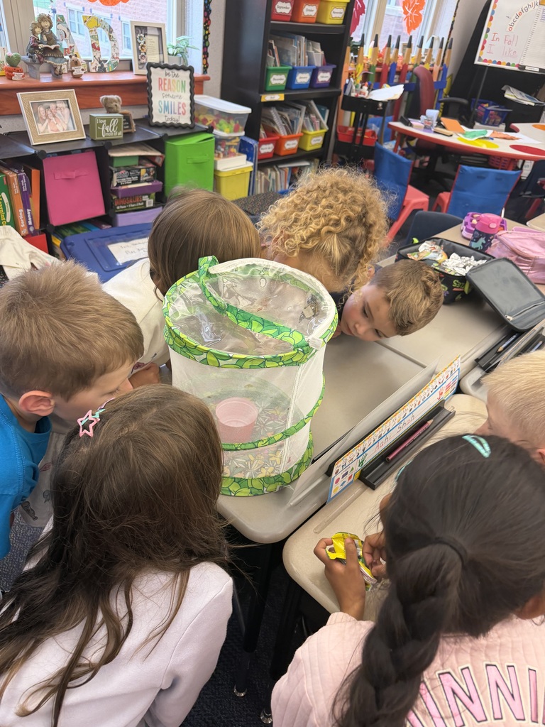 Mrs. Antal’s class butterfly study with butterfly release.