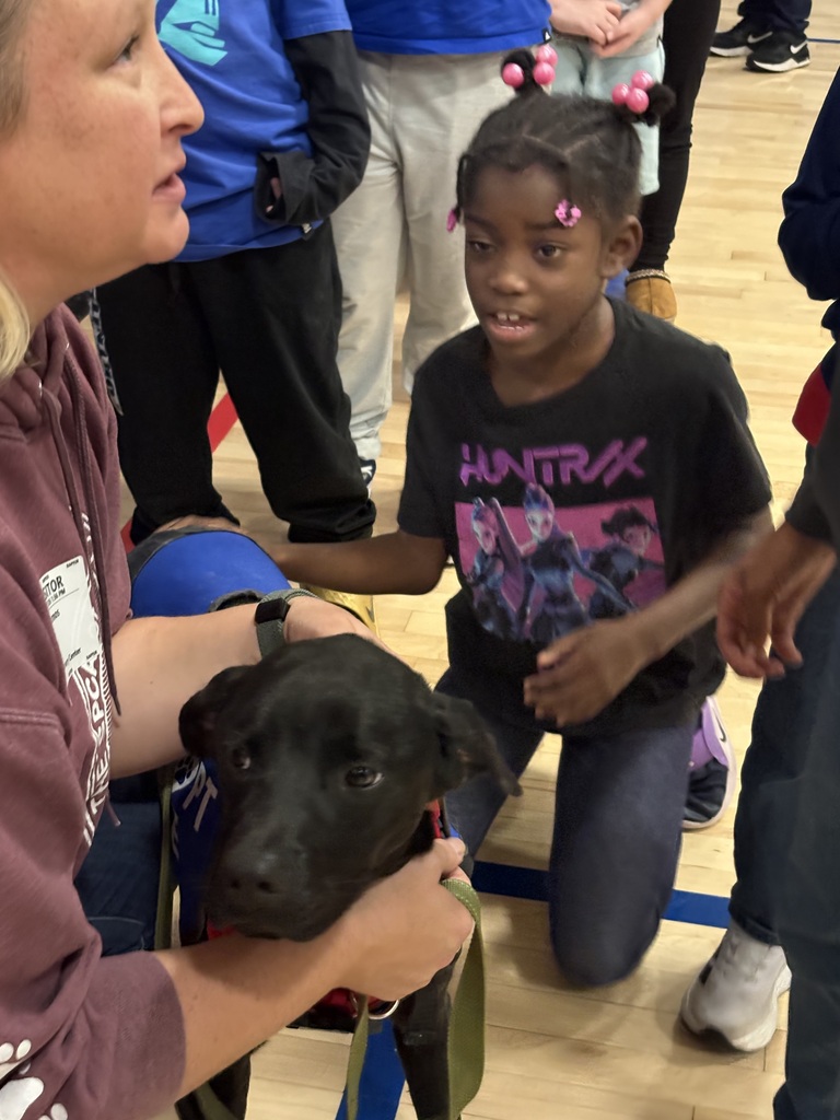 Spca presentation for second grade students and their writing