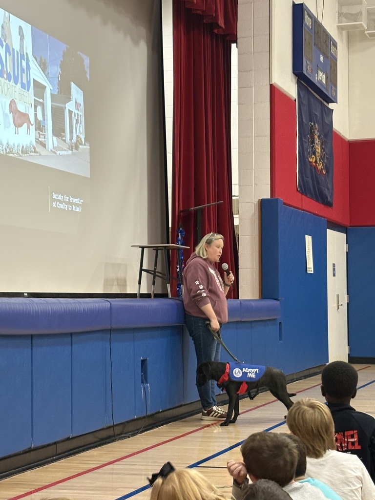 Spca presentation for second grade students and their writing