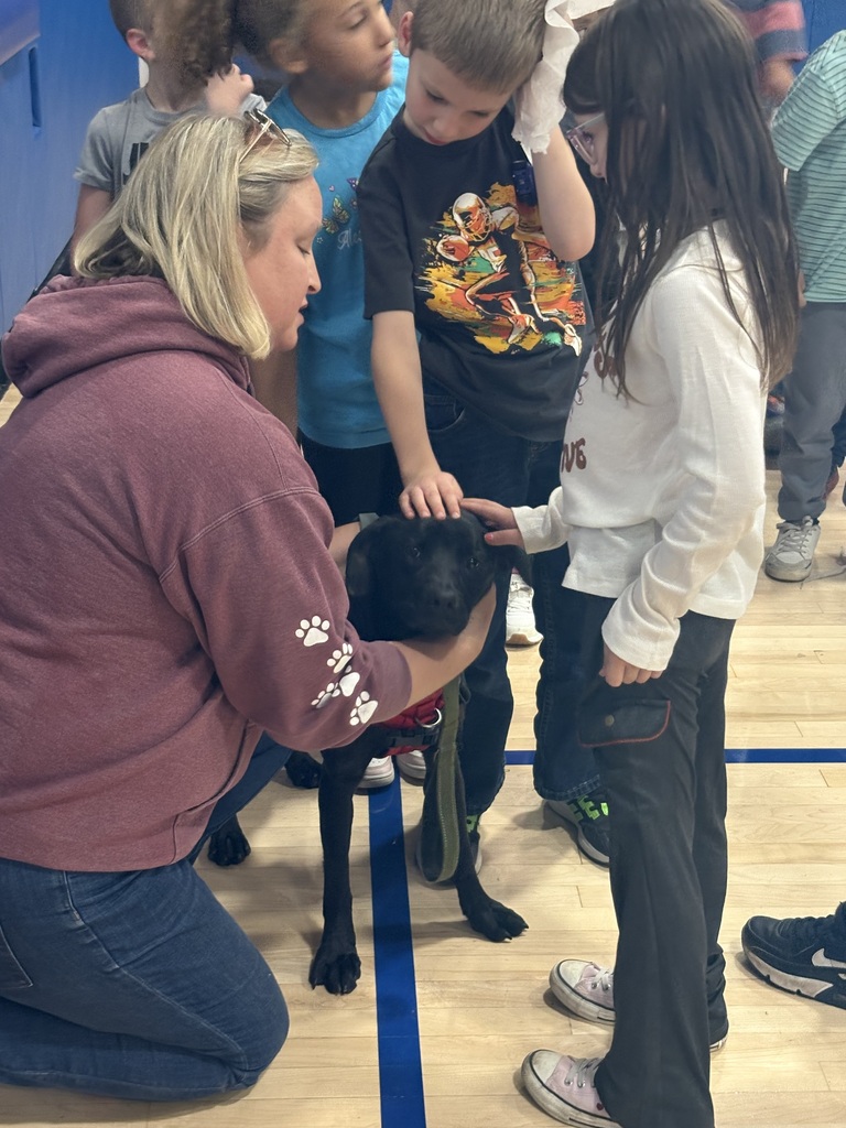 Spca presentation for second grade students and their writing