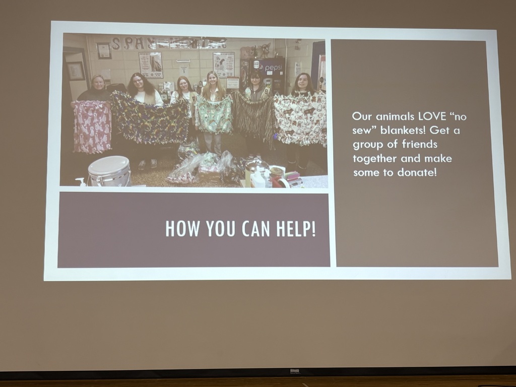 Spca presentation for second grade students and their writing