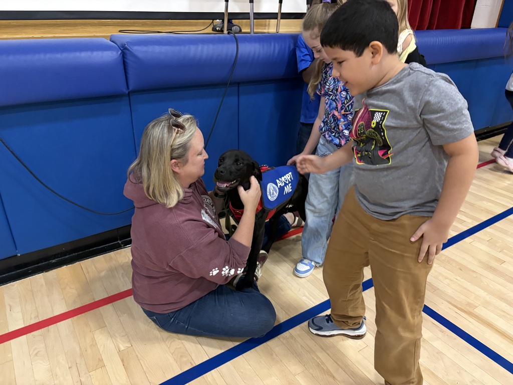 Spca presentation for second grade students and their writing