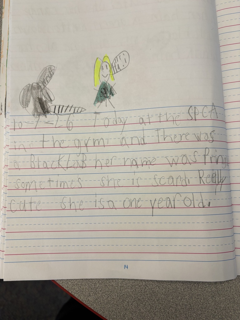 Spca presentation for second grade students and their writing