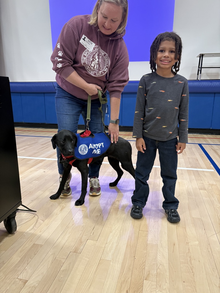 Spca presentation for second grade students and their writing