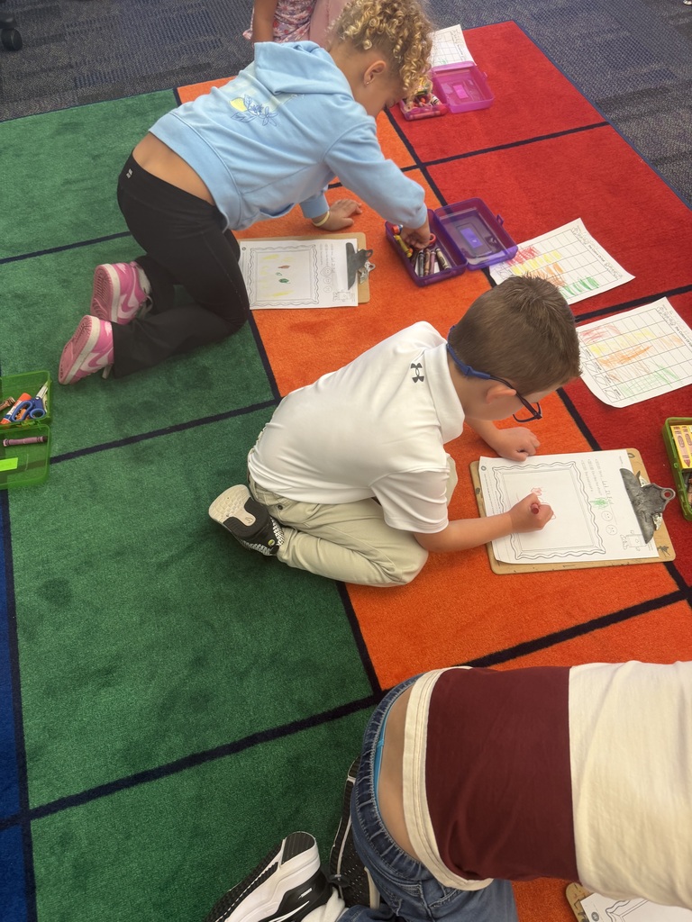 Leaf investigation in kindergarten