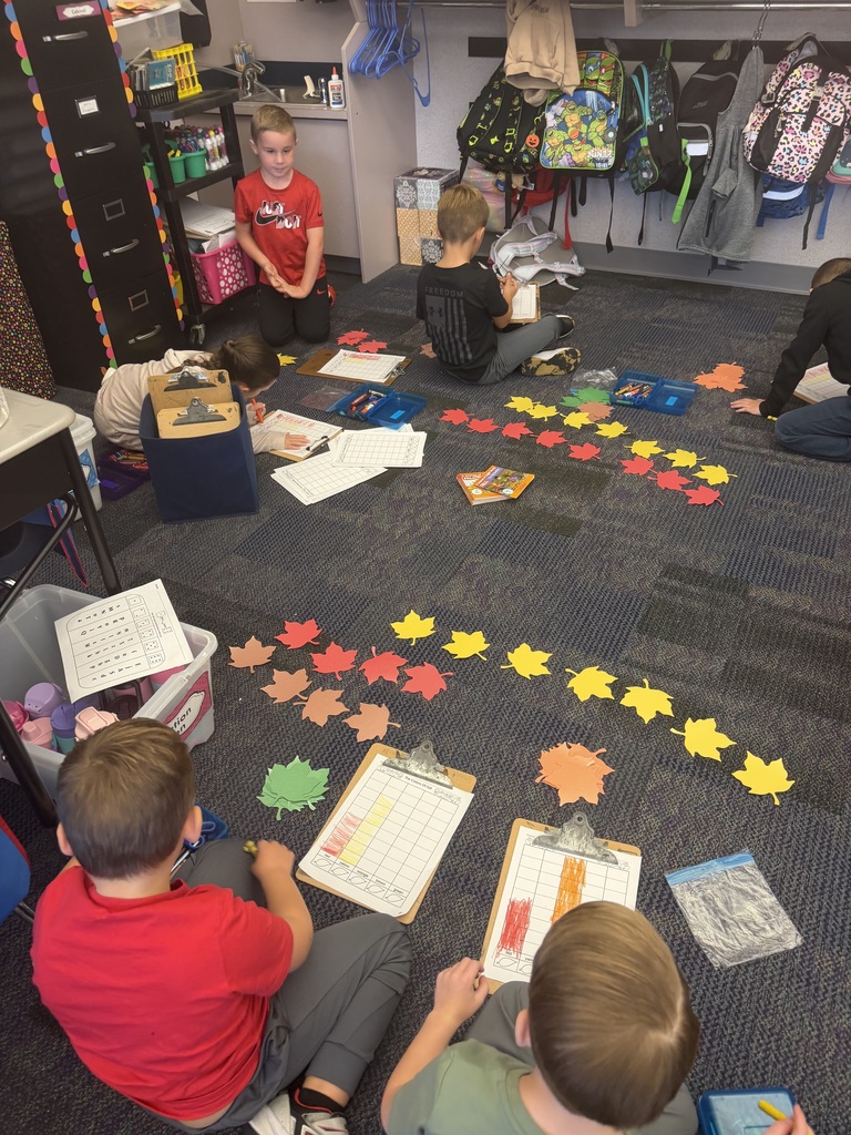 Leaf investigation in kindergarten
