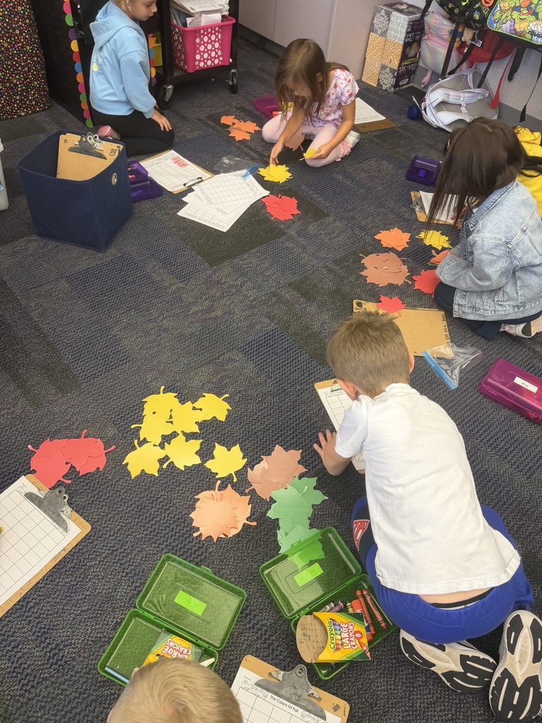 Leaf investigation in kindergarten