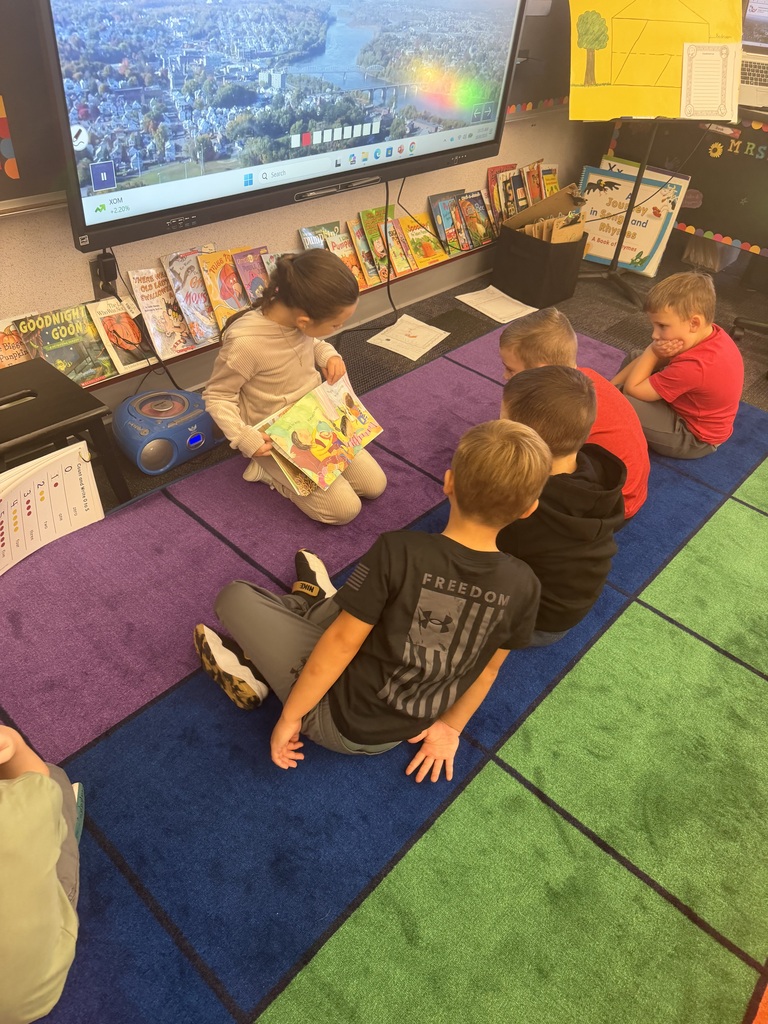 Leaf investigation in kindergarten