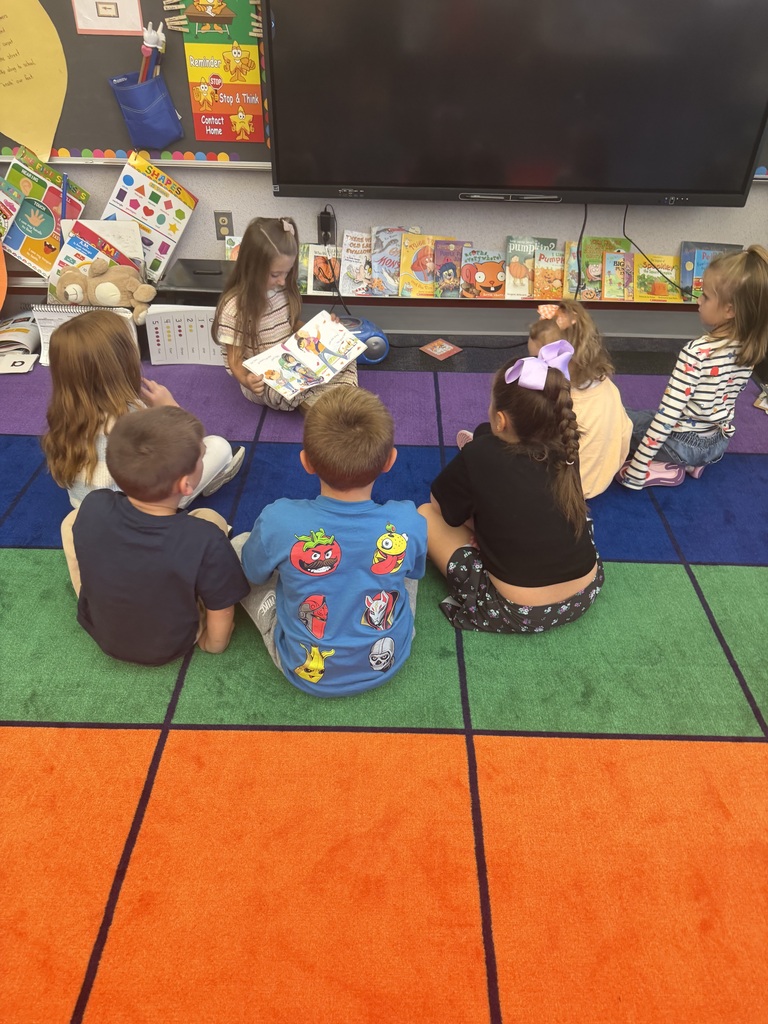 Leaf investigation in kindergarten