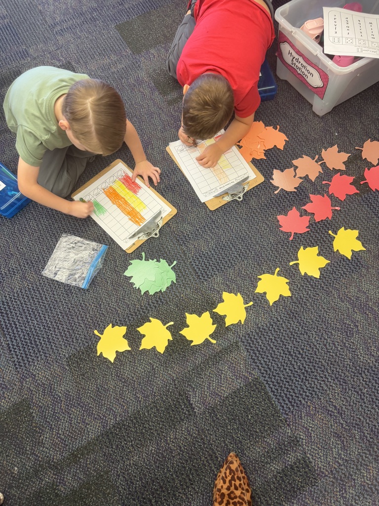 Leaf investigation in kindergarten