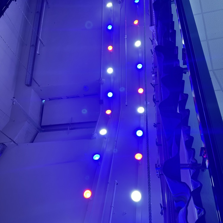 lights