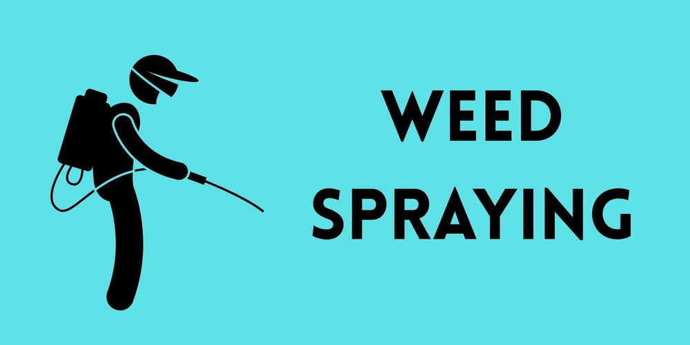 cartoon of person spraying for weeds. Weed Spraying