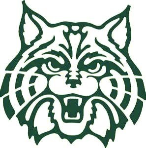 Plainfield High School Cat Logo