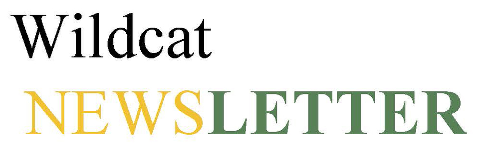 Newsletter Header