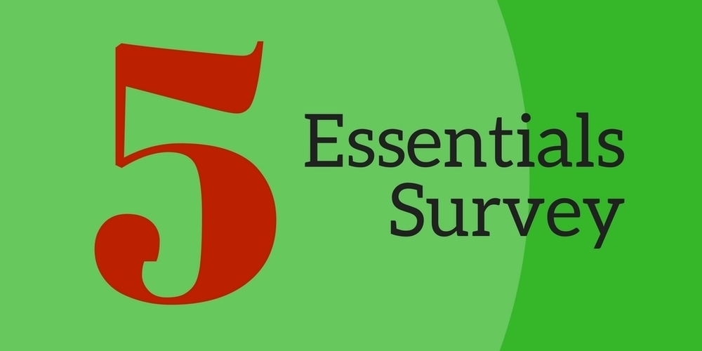 green background with 5 Essential Survey written on it